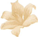 Naturayä , Image