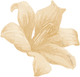 Naturayä , Image